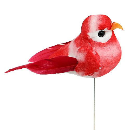 Floristik24 Mini bird assorted colors 7cm 12pcs