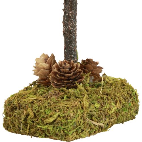 Floristik24 Mini Christmas tree table decoration moss tree H30.5cm