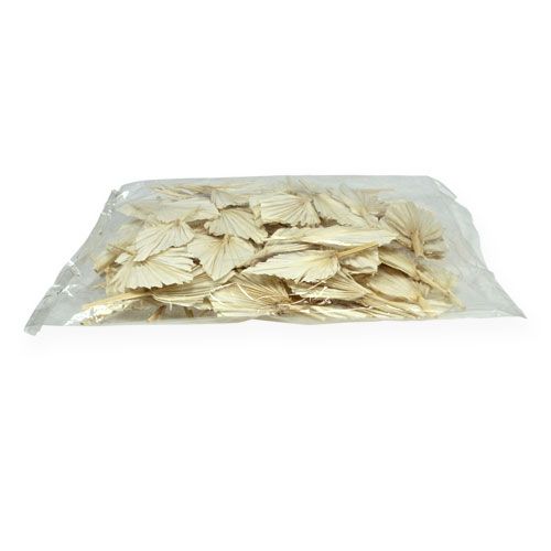 Floristik24 Palm spear mini short bleached 50 pcs
