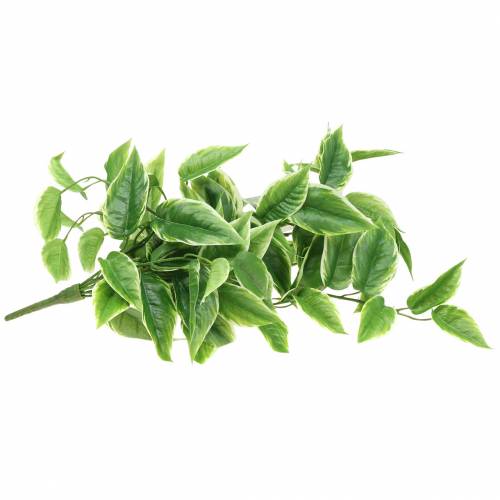 Floristik24 White-edged Funkie artificial green, white 100cm