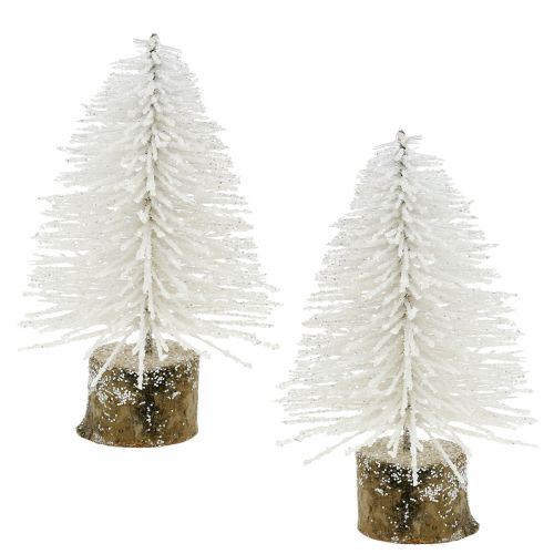 Floristik24 Mini Christmas tree white glitter 6pcs