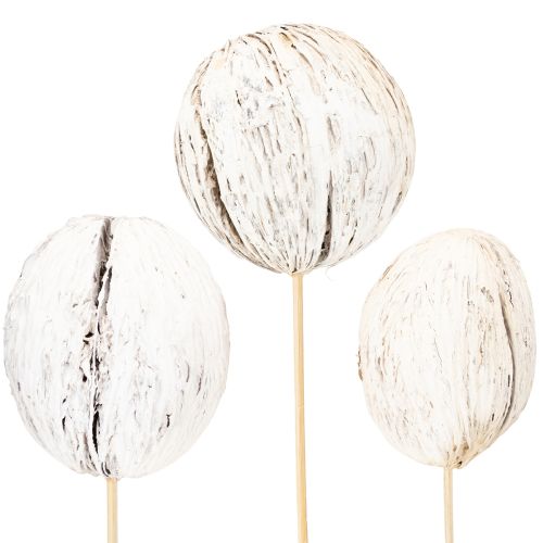Product Mintolla Ball on Stick Mix whitewashed 6 pcs