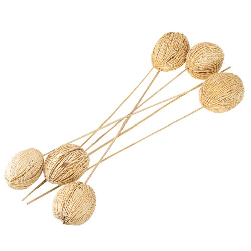 Product Mintolla ball bleached 8cm - 10cm L46cm 6 pcs