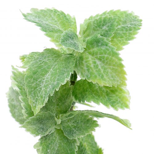 Product Mint artificial green 25cm 12 pcs