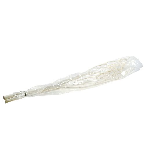 Floristik24 Mitsumata decorative branches 115cm bleached 3 pcs