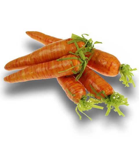 Floristik24 Artificial carrots and carrots 20 pcs
