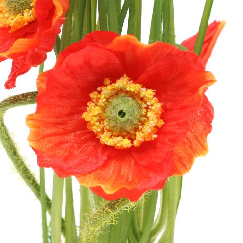 Product Poppy red in the grass 23cm