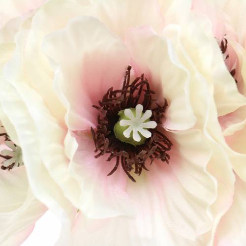 Floristik24 Poppy white, pink 29cm 6pcs