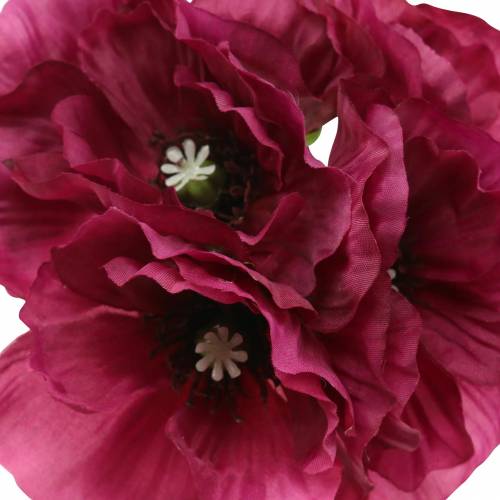 Floristik24 Poppy purple 29cm 6pcs