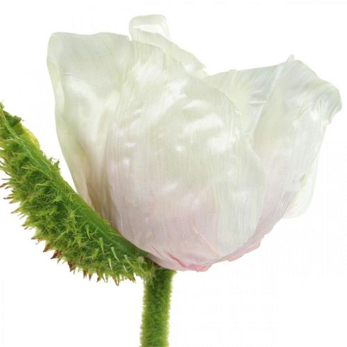 Floristik24 Artificial poppy, silk flower white-pink L55/60/70cm set of 3