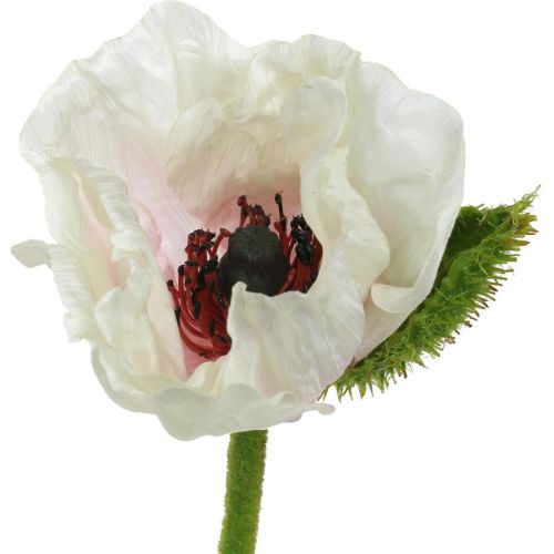 Product Artificial poppy, silk flower white-pink L55/60/70cm set of 3
