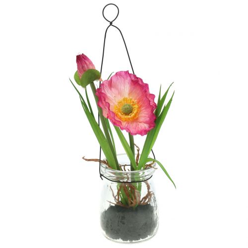 Floristik24 Poppy in a glass to hang pink H22cm
