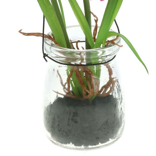 Floristik24 Poppy in a glass to hang pink H22cm