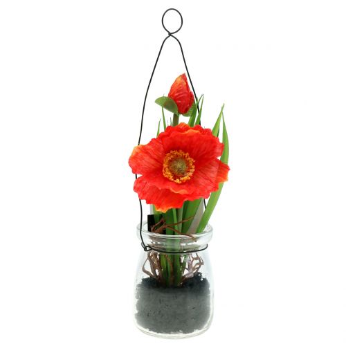 Poppy orange in a glass for hanging H22cm