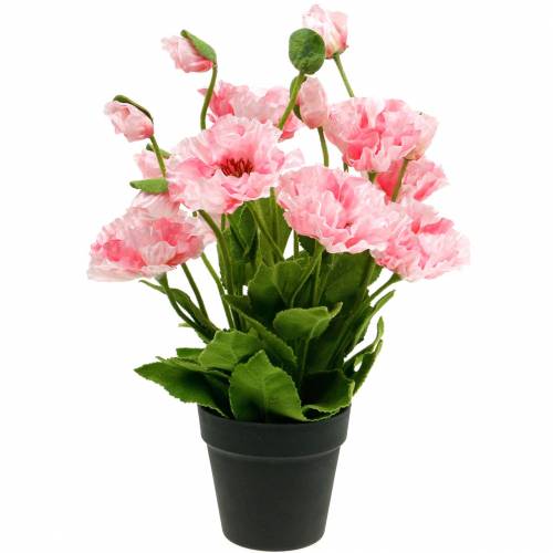 Oriental poppy, artificial flower, poppy in pink pot