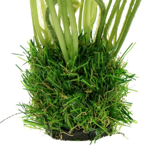 Product Poppy white in the grass 23cm