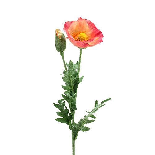 Floristik24 Artificial poppy pink, yellow 74cm