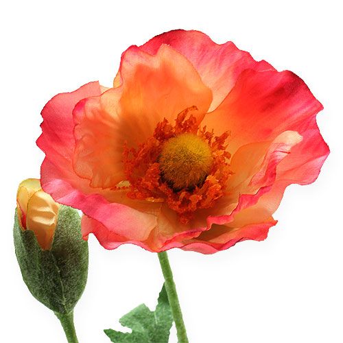 Floristik24 Artificial poppy pink, yellow 74cm