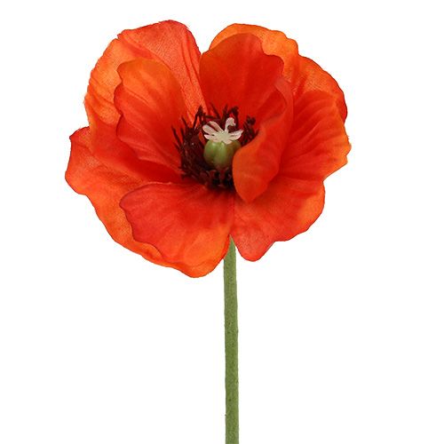 Floristik24 Poppy bouquet L28cm