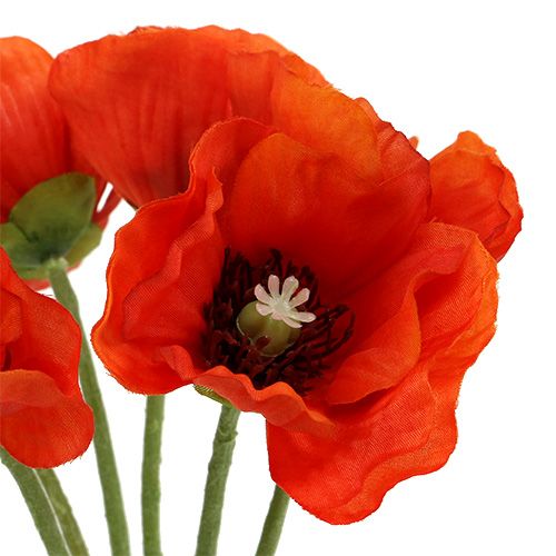 Floristik24 Poppy bouquet L28cm