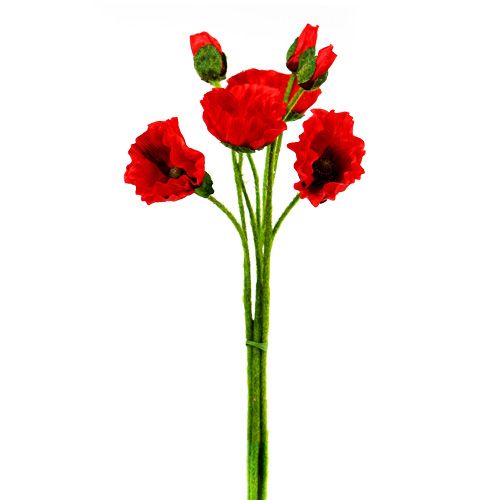 Floristik24 Poppies red Ø7cm L48cm 4pcs