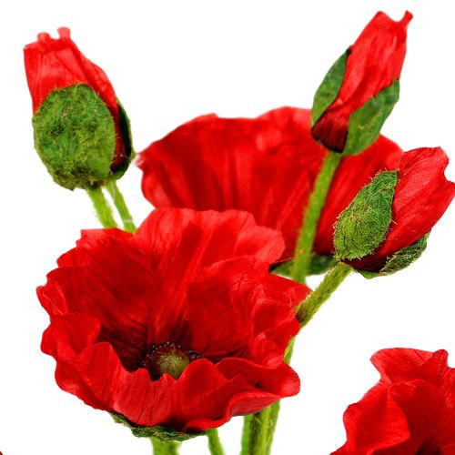 Floristik24 Poppies red Ø7cm L48cm 4pcs