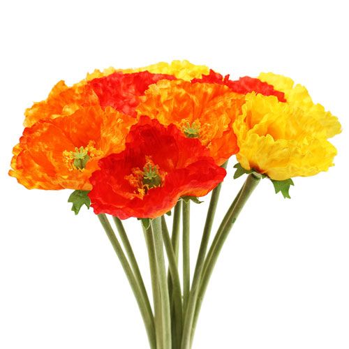 Floristik24 Poppy bouquet 33cm