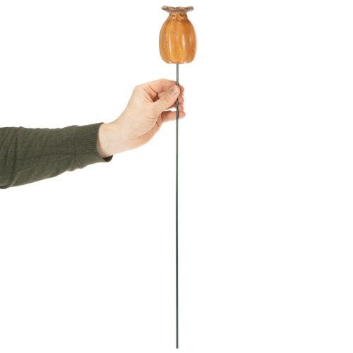 Product Garden stake poppy seed pod for stylish garden design, flower bed or balcony, 60cm, 2 pieces