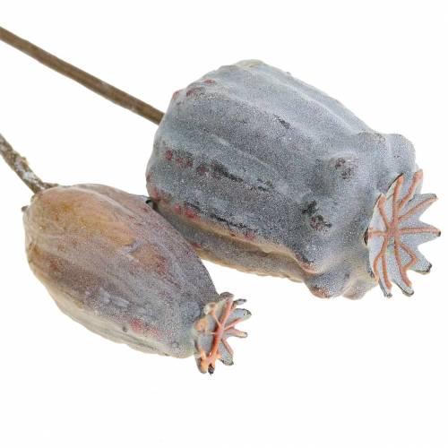 Floristik24 Artificial poppy seed capsules yellow, brown 6pcs