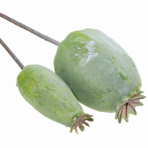 Floristik24 Artificial poppy capsules green 26cm/28cm 6pcs