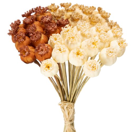 Dried artificial poppy seed pods, bunch of three colors, 40cm, 45 pieces buy online | Floristik24.ie