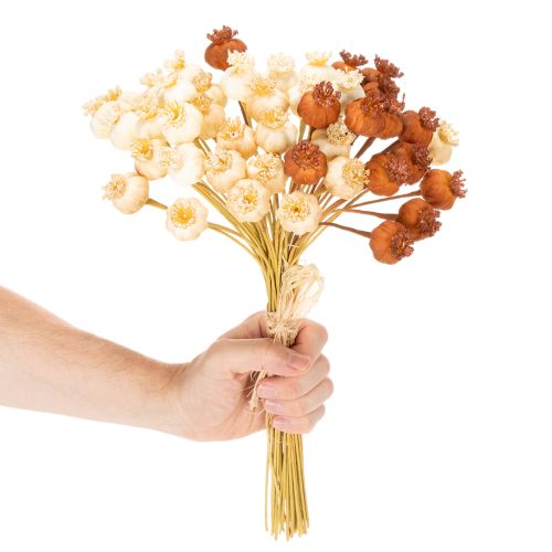 Dried artificial poppy seed pods, bunch of three colors, 40cm, 45 pieces | Floristik24.ie