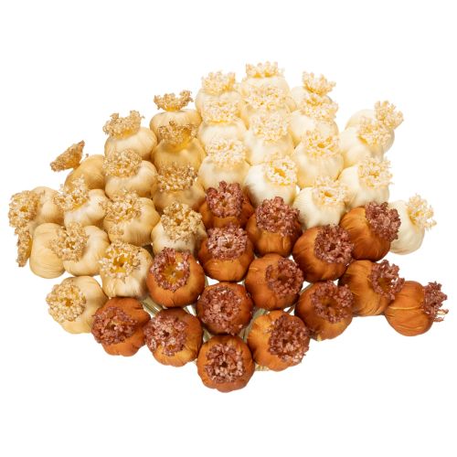 Dried artificial poppy seed pods, bunch of three colors, 40cm, 45 pieces | Floristik24.ie