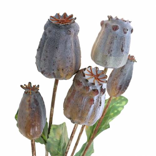 Floristik24 Artificial poppy seed pods yellow, brown H70cm