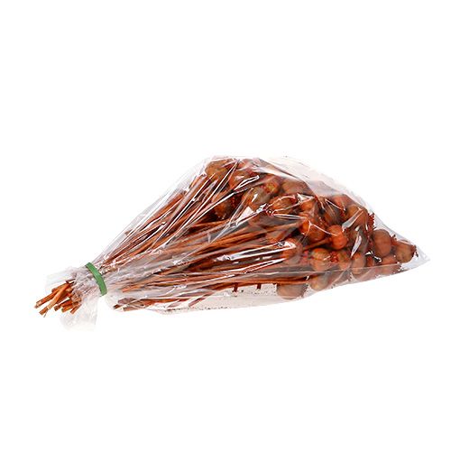 Floristik24 Poppy heads dyed orange 100 pcs