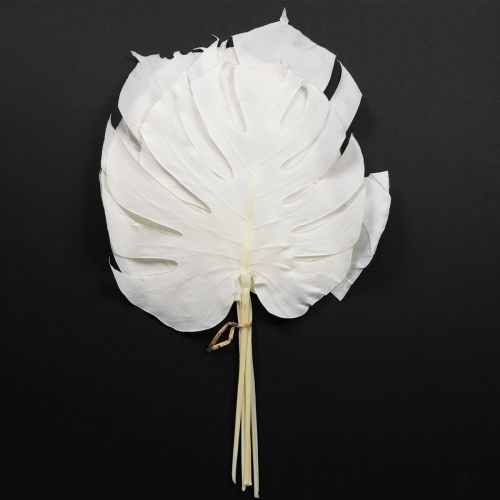 Product Monstera leaves bleached decorative window leaf H40cm 5 pcs