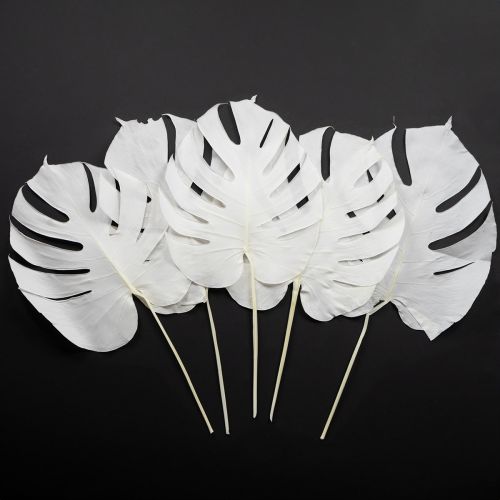 Product Monstera leaves bleached decorative window leaf H40cm 5 pcs