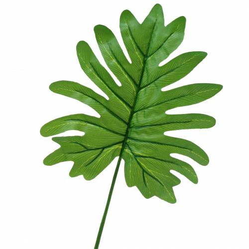 Floristik24 Monstera leaf green 58cm 12pcs