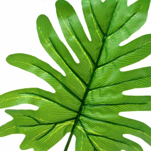 Product Monstera leaf green 58cm 12pcs