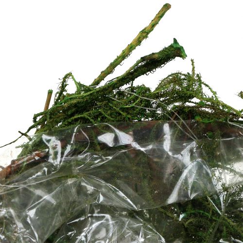 Floristik24 Moss bowl green Ø11cm H6.5cm - 7.5cm 5pcs