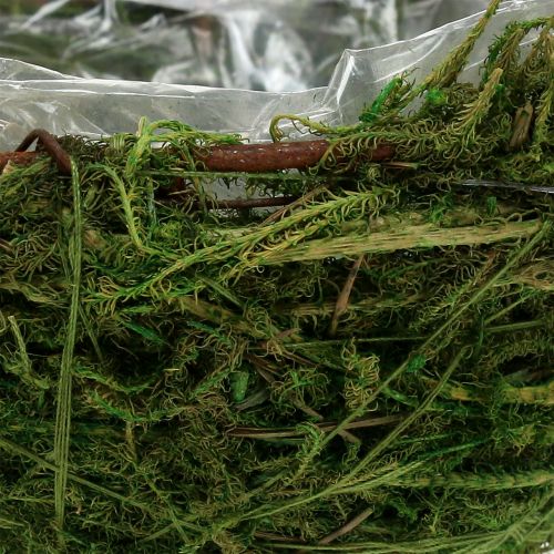 Floristik24 Moss bowl green Ø11cm H6.5cm - 7.5cm 5pcs