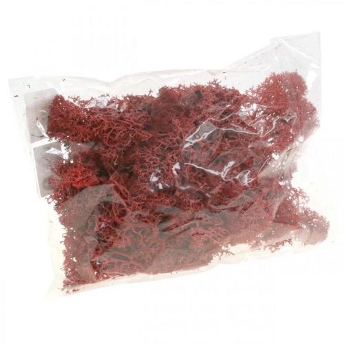 Product Decorative moss for handicrafts Red colored natural moss in a 40g bag