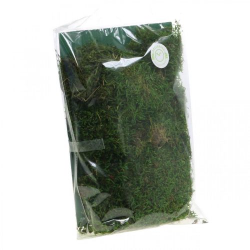 Floristik24 Decorative moss for handicrafts green, dark green 100g