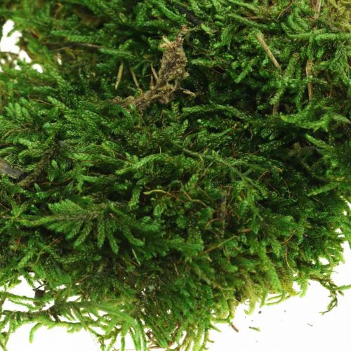 Product Decorative moss for handicrafts green, dark green 100g