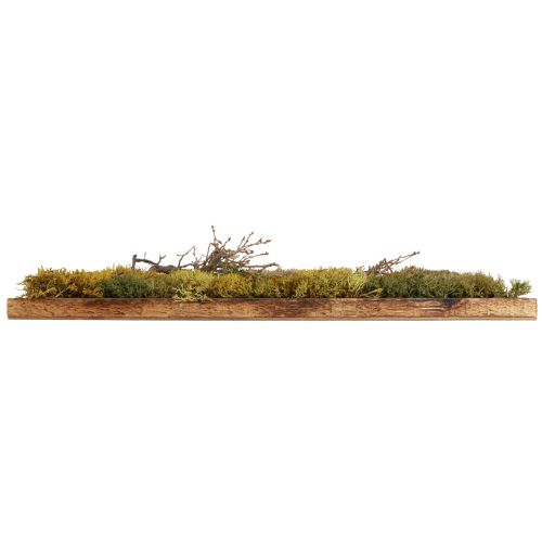 Product Moss picture Real moss preserved and branches natural 60×40cm