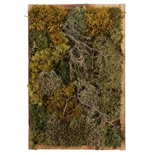 Moss picture Real moss preserved and branches natural 60×40cm
