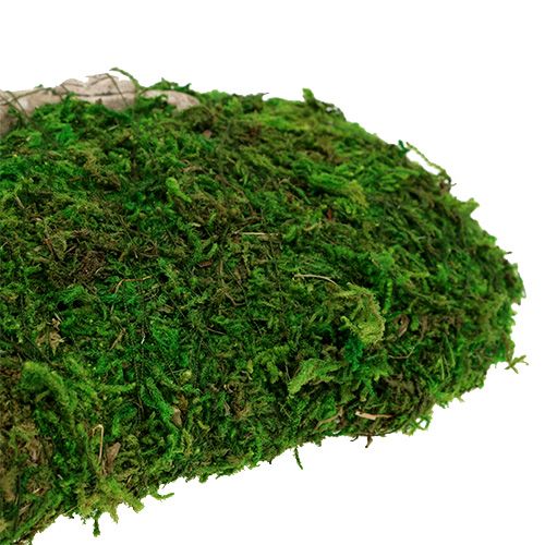 Floristik24 Moss heart with rose relief 30cm