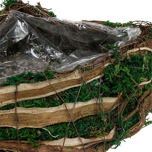 Floristik24 Moss heart for planting L65cm W28cm