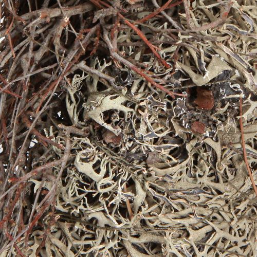 Product Natural Moss Wreath Grey Ø30cm - Decorative wreath for table & door decoration, autumn & Christmas decoration