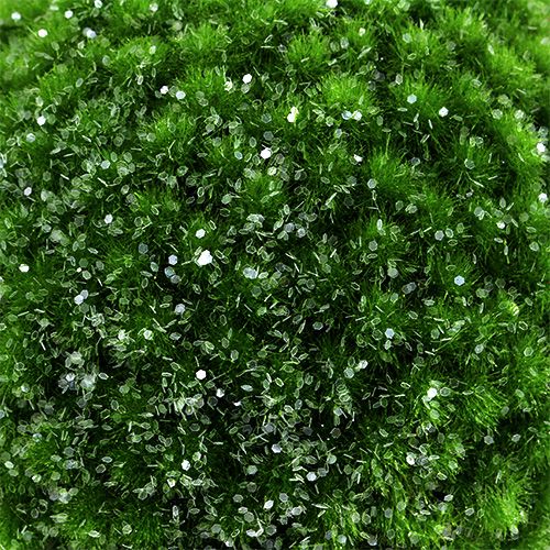 Floristik24 Moss ball green with mica Ø15cm